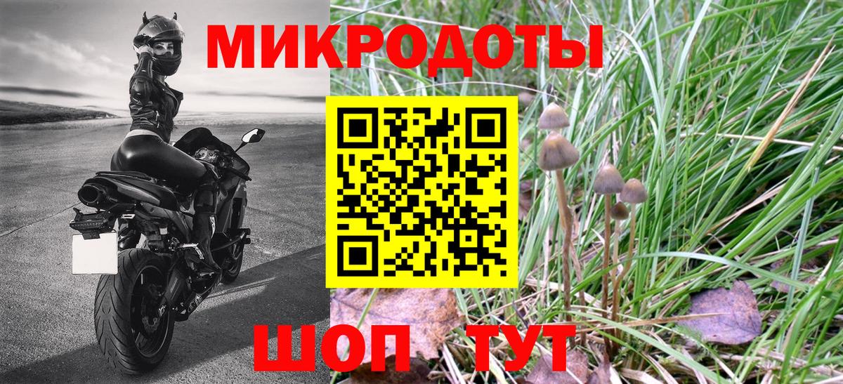 Псилоцибиновые грибы GOLDEN TEACHER Саяногорск