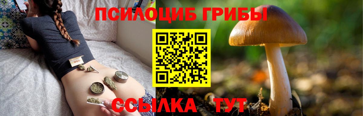 Саяногорск  Псилоцибиновые грибы мухоморы  наркотики  Вход с VPN  Галлюциногенные грибы мицелий 